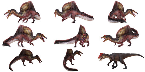 Various poses of dinosaur models.