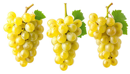 Three bunches of ripe, green grapes, leaves included