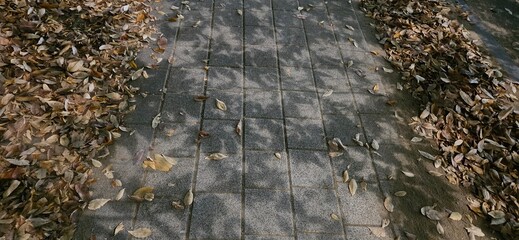 while walking on the street, walk along the prom, walk along the sidewalk, Cross the street, walk along a path, sidewalk, sidewalk city, sidewalk street 