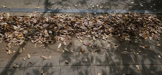 while walking on the street, walk along the prom, walk along the sidewalk, Cross the street, walk along a path, sidewalk, sidewalk city, sidewalk street 