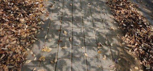 while walking on the street, walk along the prom, walk along the sidewalk, Cross the street, walk along a path, sidewalk, sidewalk city, sidewalk street 