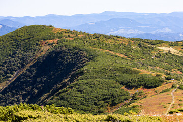 Rolling mountain ridge with green alpine shrubs and early autumn colors, a winding path leading toward distant blue hills under clear sky, inviting hikers to calmly explore a tranquil wilderness
