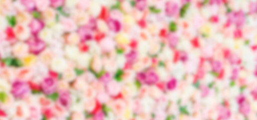 blurred multicolored rose background, colorful rose backdrop blur