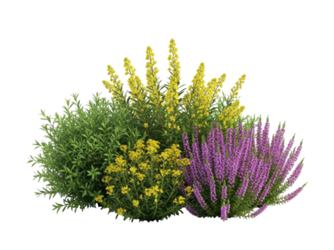 Cluster of flowering plants with yellow and purple blooms transparent background cutout png