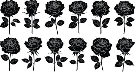 Rose silhouettes set, black flower vector illustration, floral design elements, botanical collection with stems and leaves, tattoo style art, isolated on white background
