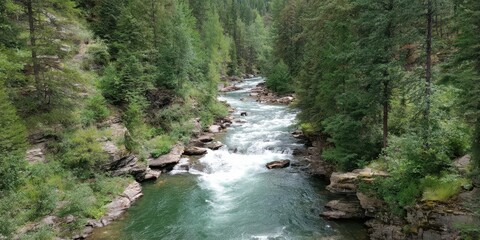A powerful river flows through a rocky forested gorge with lush green trees and clear blue water