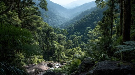 Lush rainforest valley with a serene stream surrounded by towering trees and distant mountains under a bright sky