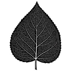 Black and white illustration of a single leaf isolated on white background