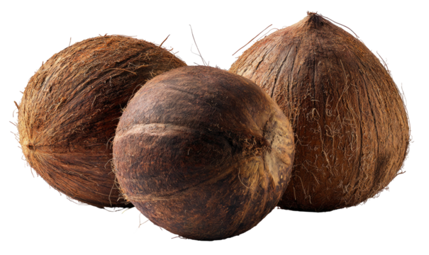 Three brown, fibrous coconuts are arranged in a cluster
