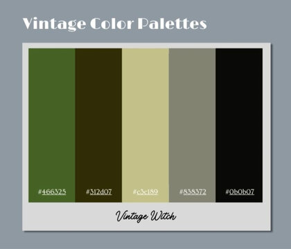 A cohesive vintage color palette delivering peaceful ambience suitable for handcrafted design collectives.