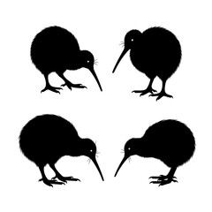 Four kiwi birds silhouettes isolated on white background