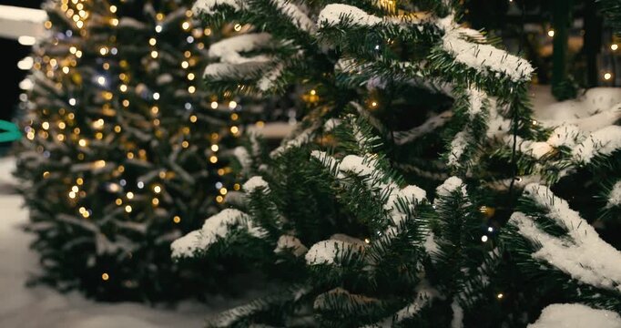 Christmas snow-covered evergreen trees decorated with twinkling lights create a festive atmosphere for the new year.
