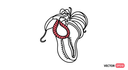 Detailed illustration of a pitcher plant, showing its trap and structure.