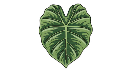 Detailed illustration of a large, heart-shaped, green leaf with prominent veins.