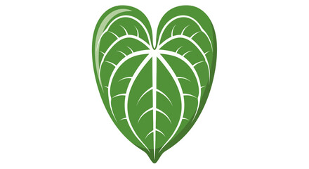 A stylized green leaf, shaped like a heart, with detailed veins and a clean white background.