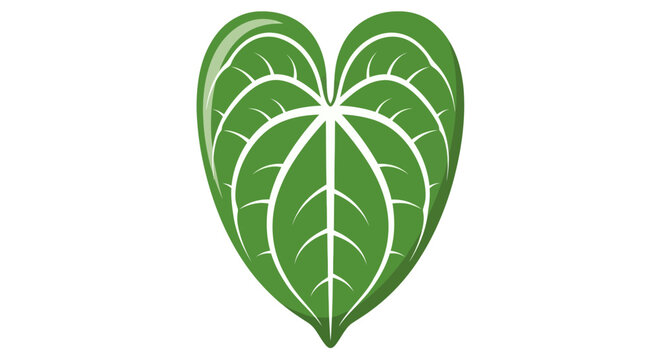 A stylized green leaf, shaped like a heart, with detailed veins and a clean white background.