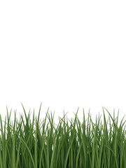 A simple image displaying vibrant green grass against a dark background
