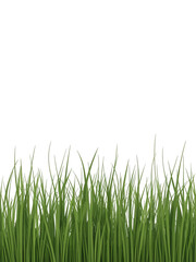 Fototapeta premium A simple image showcasing a strip of vibrant green grass against black