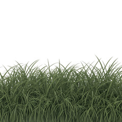 Fototapeta premium A simple view of green grass blades against a dark solid black background