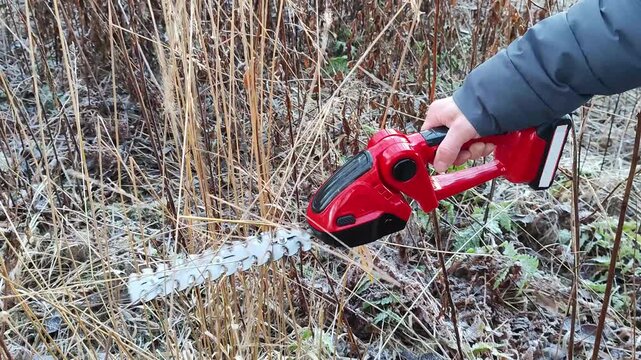 A person cuts dry frosted grass with a red cordless hedge trimmer. Close-up of a handheld power tool for winter yard work and garden maintenance. Vertical video