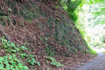 落石の危険がある法面に設置する落石防止ネット