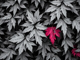 Autumn leaves, black and white, high contrast, textured detail, close-up, black and white