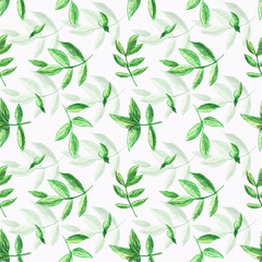 Seamless pattern with voluminous rosehip leaves on a white background. Perfect for wallpaper, gift paper, pattern fill, summer greeting cards