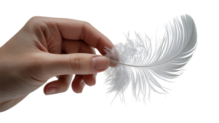 A hand holding a delicate white feather on a transparent background