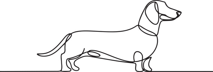 Dachshund dog continuous one line vector drawing. Single line art dachshund dog. one line Icon drawing with white background