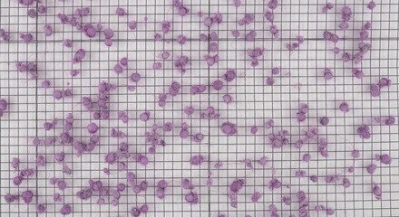 Abstract grid pattern with purple floral elements creating a textured and visually appealing background, isolated on white background