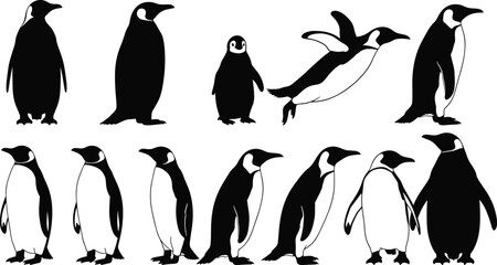 Fototapeta premium Penguin Silhouettes Vector Set of Twelve Emperor Birds Standing Swimming and Walking Poses