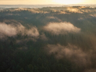 Obraz premium Bavarian view across morning sunrise forest with foggy background
