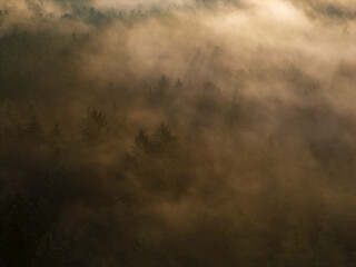 Bavarian view across morning sunrise forest with foggy background