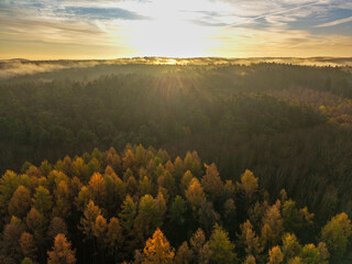 Bavarian view across morning sunrise forest with foggy background