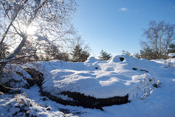 Snow on the Gorges of Franchard. Fontainebleau forest 