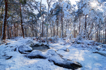 Devil's sink stone in the Apremont Gorges