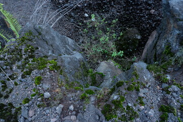 Close up Natural Volcanic Rock Formation with Moss in Landscape