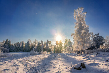 Low sun over the forest on a cold winter day with frost and snow