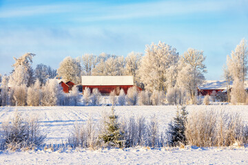 Winter landscape with farm buildings by a snowy field and frosty trees a sunny winter day