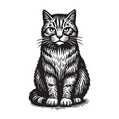 Obraz premium Majestic tabby cat sitting upright in a detailed black and white hand-drawn illustration. This feline portrait features a classic vintage engraving and woodcut style with intricate linework