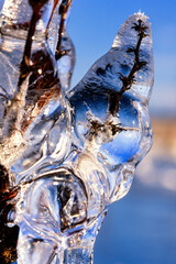 Ice covered branch a cold winter day