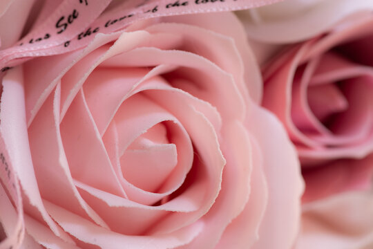 美しい薔薇」の写真素材 | 555,592件の無料イラスト画像 | Adobe Stock