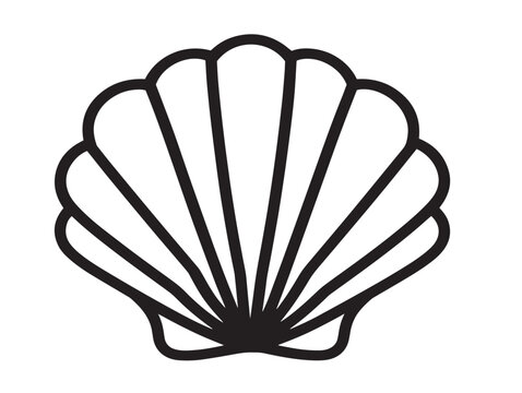 Shell icon 2D vector line art in a clean minimalist graphic black