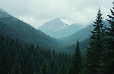 Mountain landscape with dense pine forest at cloudy day. Peaks covered with snow visible through fog. Green trees create scenic panorama of mountain woodland. Nature concept for travel destination