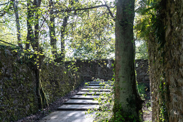 A staircase leading through the ruins of a castle covered with green moss and plants