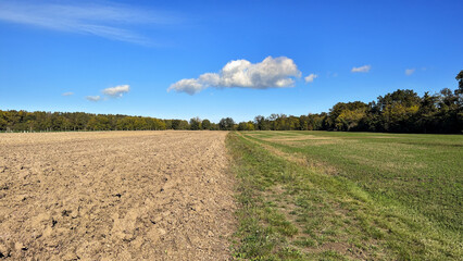 A wide landscape view showcases a freshly plowed brown field contrasting with a vibrant green grassy area under a bright clear blue sky