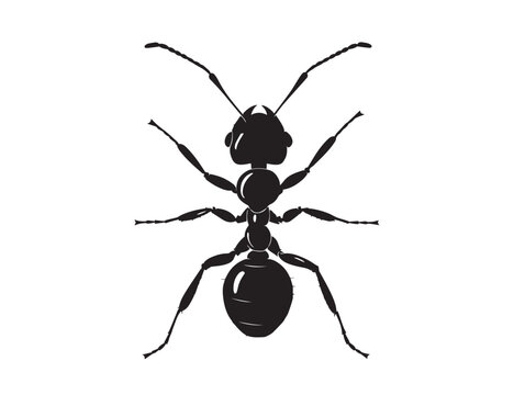 Simple bold ant figure silhouette vector illustration design