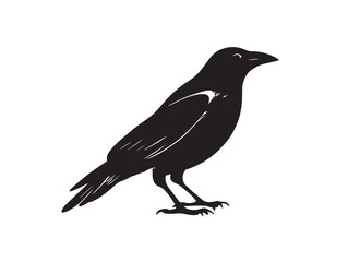 Beautiful Crow Icon Displaying Elegant Wildlife Silhouette Art  