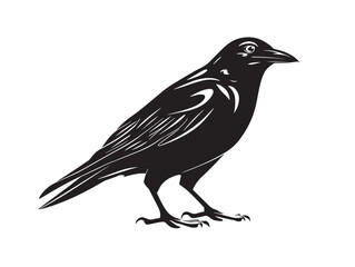 Obraz premium Stunning Crow Symbol Highlighting Gorgeous Nature and Bird Design 