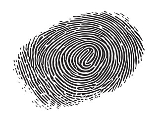 Beautiful Fingerprint Symbol Representing Gorgeous Biometric Authentication  